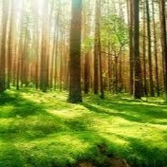 The Name Of Allaah Ar-Razzaaq By Abu Hakeem
