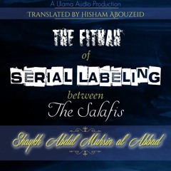 The Fitnah Of Serial Labeling Among The Salafis