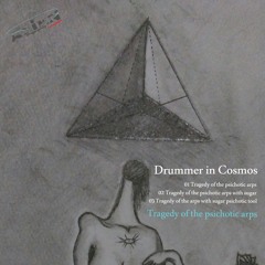 AFR006 : Drummer In Cosmos - Tragedy of The Psichotic Arps (Original Mix)