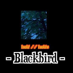 Blackbird - Paul McCartney