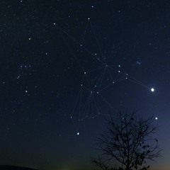 With Venus (Hummingbird cover)