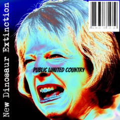Public Limited Country - New Dinosaur Extinction