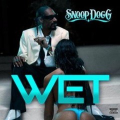 Snoop Dog- Wet (DJ Paul HD Remix)