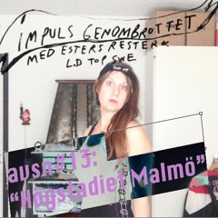 avsn#13: "Högstadiet Malmö"