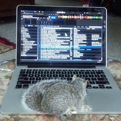 Serotonin This Is What You Came For Vs Daddys Juice