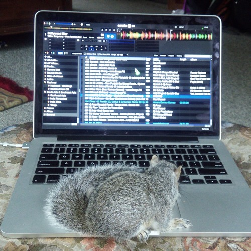 Serotonin This Is What You Came For Vs Daddys Juice