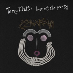 Terry Malts - Used To Be