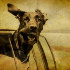 The Housewife - Head Out