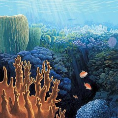 The Fish (Beyond The Reef)