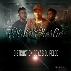 Distruction Boyz, Dj Pelco - Dlala Charlie (Pelco Touch)