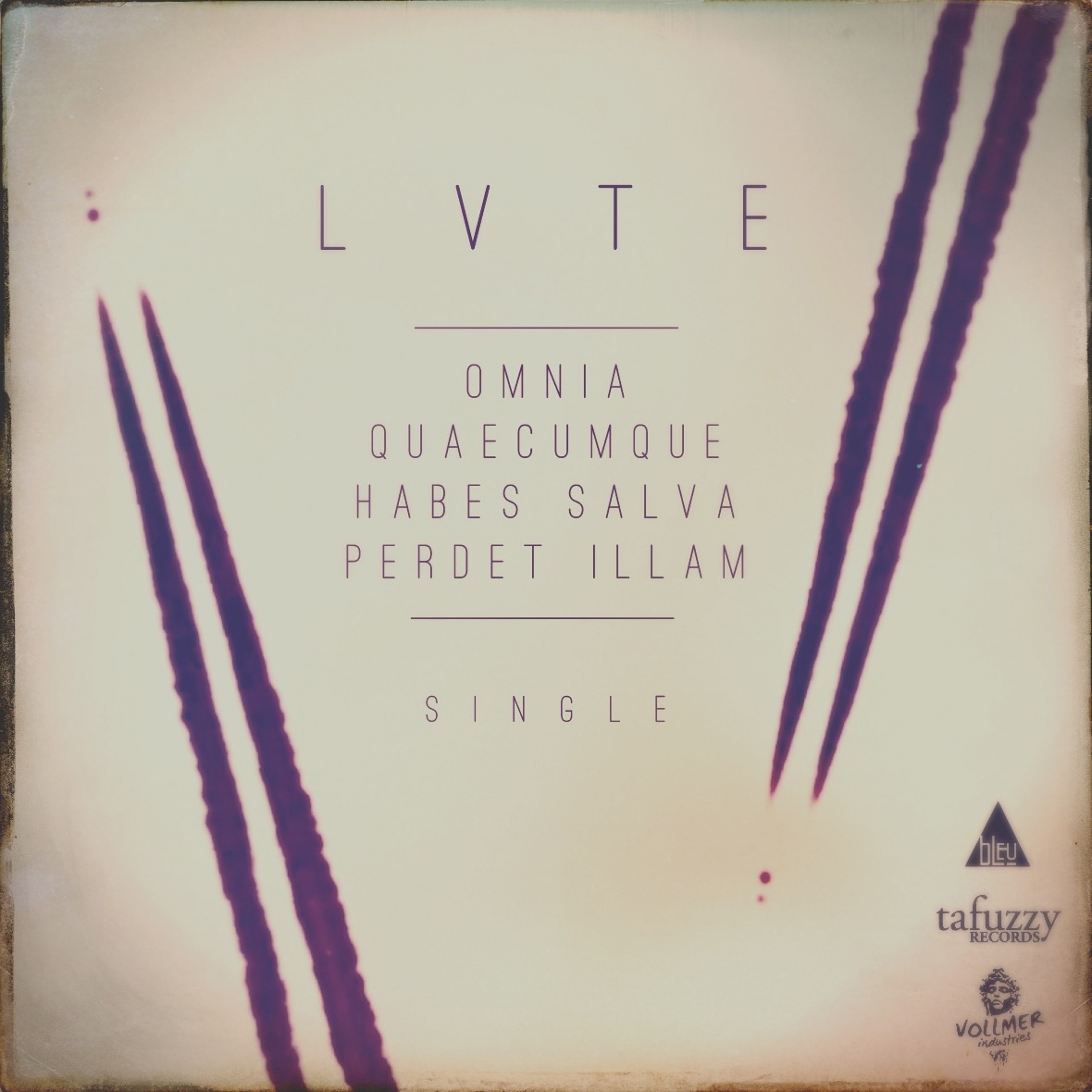 Omnia Quaecumque Habes Salva Perdet Illam