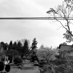 Sorrow (The National Cover)