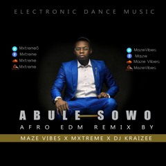Maze Vibes x Mxtreme - Olamide - Abule Sowo Afro EDM Remix