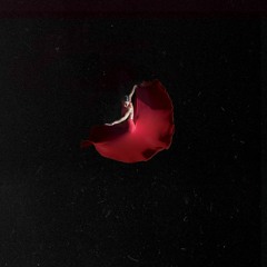 papooz - ulysses and the sea (woolsoul remix)