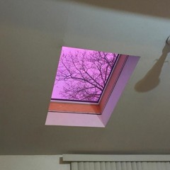 sunset hues