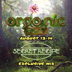Secret Recipe - Organic Fest 2016 Exclusive Mix