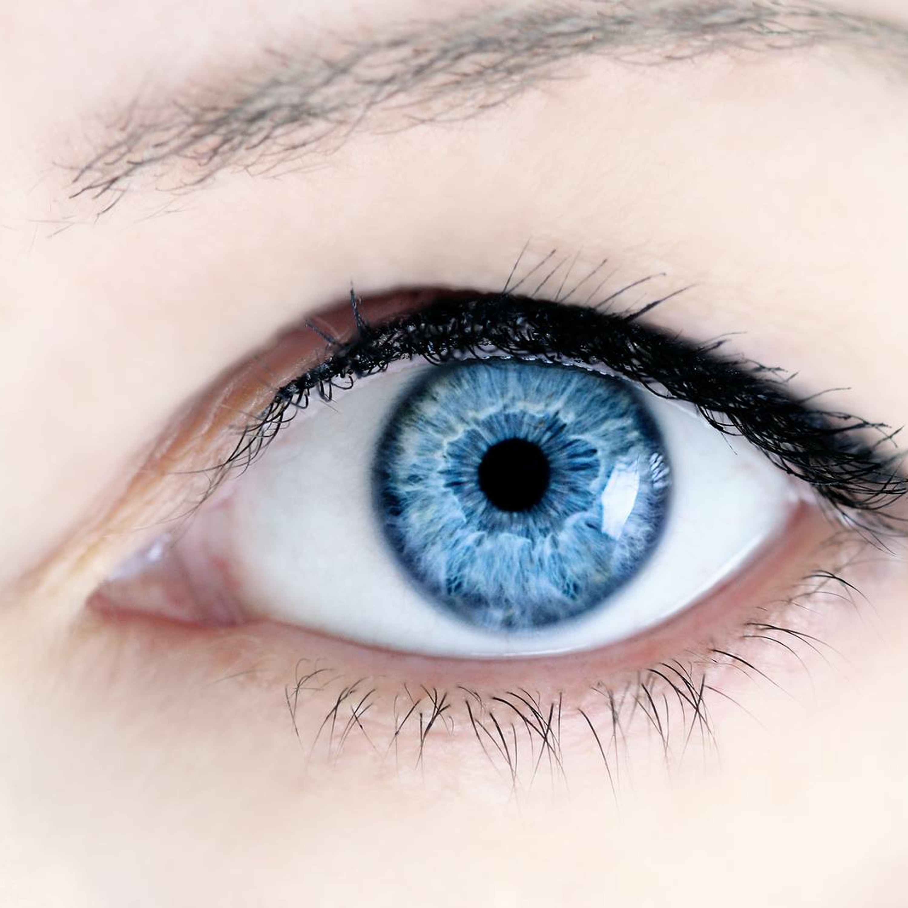 cover of episode Eye Health - Radio Show Archive