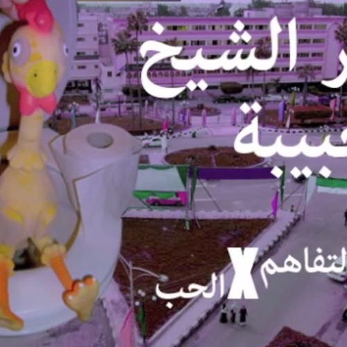 كفر الشيخ الحبيبة - التفاهم في الحب