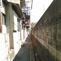 電脳 ほげつうしん 「SOREGARULE / OHHAA」