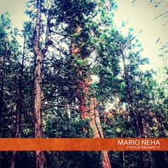 [BTWR006] Mario Neha - Steps & Trumpets EP - SAMPLER