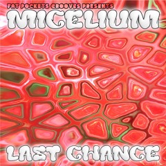 MICelium X Fat Pockets - Last Chance