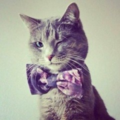 2013 Throwback Megamashup (ƜakeMeUpForTheParty)- Happy Cat Disco