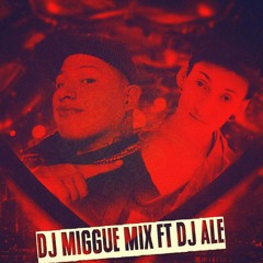 DILE QUE TE BESO EN EL TOTO - DJ MIGGUE MIX FT DJ ALE