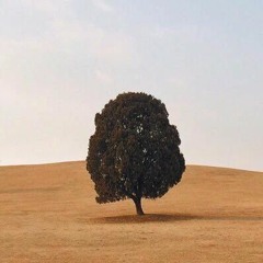 مرجوج الخلا، فيصل سعود