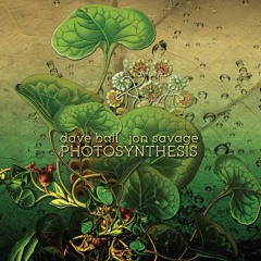 DAVE BALL • JON SAVAGE Dead Neon