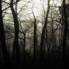 Peter Jaczewski - Phantom Forest