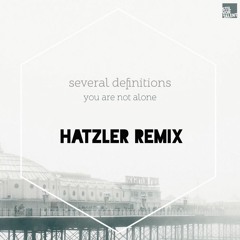 Several Definitions - Alone (Hatzler Remix)  SVT175