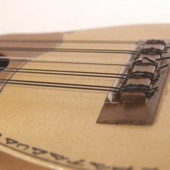 Charango Patagua - prueba de afinación y arpegios