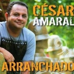 Na Poeira da Sala de Reboco o Sertão Está Sempre Reunido