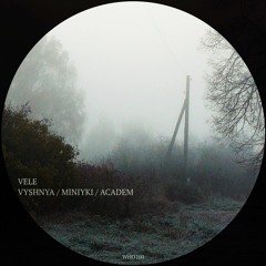 Vele - Academ (Original Mix)