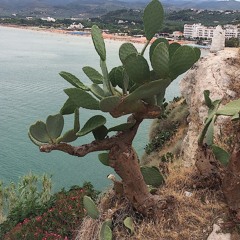 My Name is Deep 2016