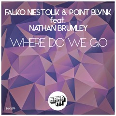 Falko Niestolik, POINT BLVNK ft. Nathan Brumley - Where Do We Go (OUT NOW)
