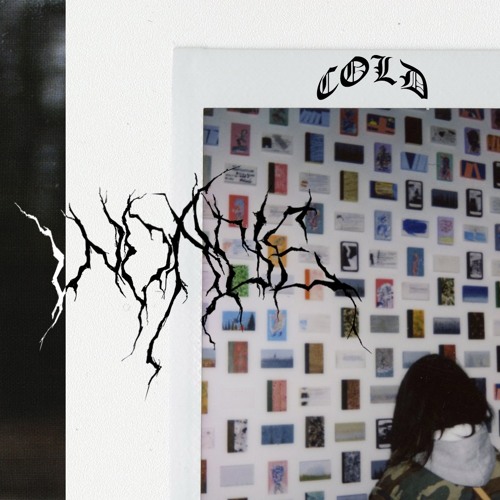 woadie - cold