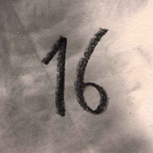 Monaberry Podberry 16 - Ektschn