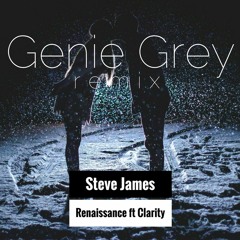 Steve James - Renaissance (Genie Grey remix)