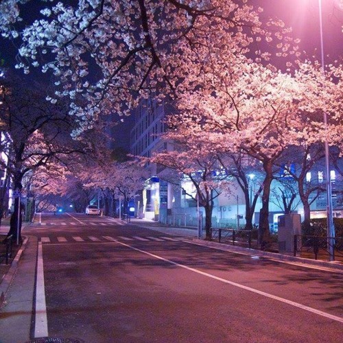 miss you baker (WIP)