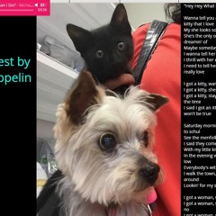 My Pet (Zeppelin) Project on Eddington Records