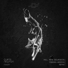 Curtis Newton - Noom