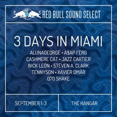 3 DAYS IN MIAMI