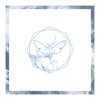 Butterfly Effect Mp3