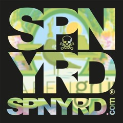 SPNYRD @ Hafengrün Festival 2016 - Opening - 2h DJ-Set