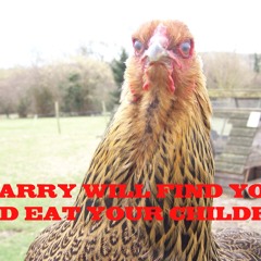 The Chicken Mix