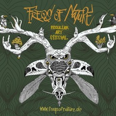 FUGLY @ Freqs Of Nature Festival 2016