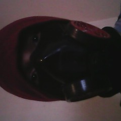 Black E.Lab´s