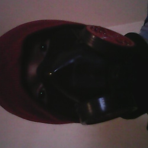 Black E.Lab´s
