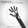Backstreet Boys I Want It That Way Samhalabi Remix Mp3